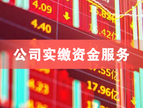 赤壁公司实缴资金服务